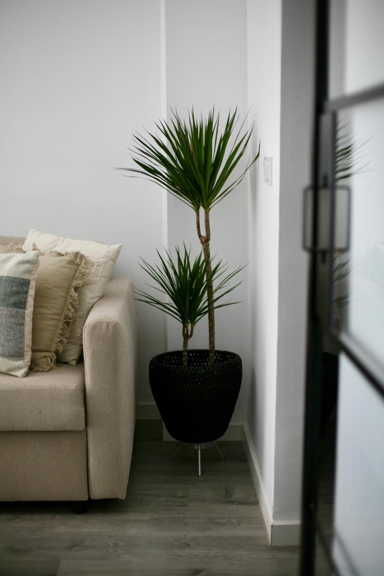 Apartament The Numid King Malaga Zewnętrze zdjęcie
